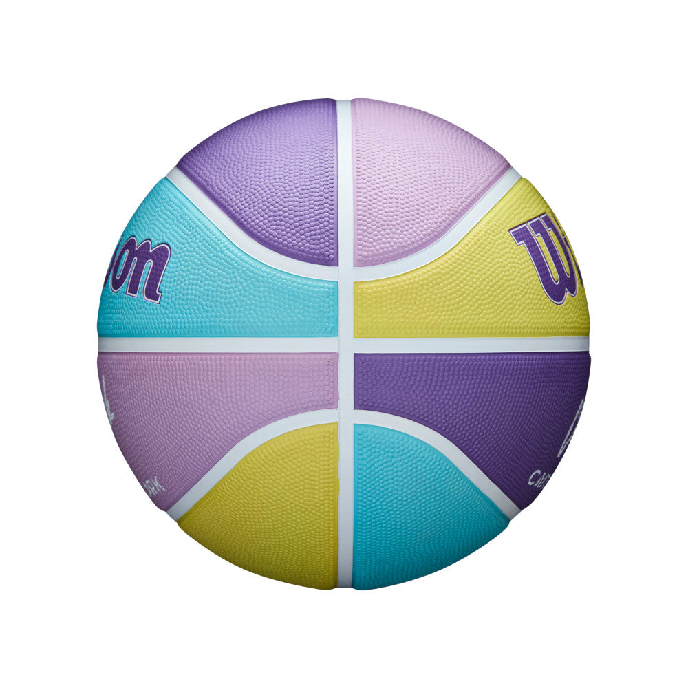 Wilson Basketball 籃球